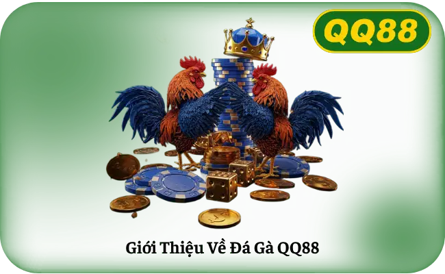 Gioi Thieu Ve Da Ga QQ88 Giới Thiệu Về Đá Gà QQ88